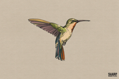 Watercolor Hummingbird In Flight, Summer Png Nature Product Image 1