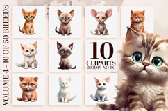 Delightful Cat Breeds Watercolor Bundle - PNG, Sublimation Product Image 1