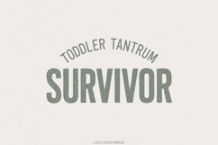 Toddler Tantrum Survivor PNG Shirt, Funny Parent PNG, Product Image 1