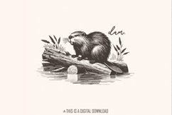 Beaver Dam PNG, Funny Beaver, Instant Digital Download, Product Image 1