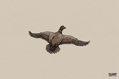 Mallard In Flight, Summer Trendy Shirt PNG, Vintage Product Image 1