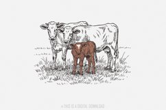 Cow PNG, Cattle Sublimation Design, Western Design, Hand Product Image 1