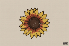 Sunflower Bloom, Sunflower PNG, Flowers PNG, Trendy PNG, Product Image 1