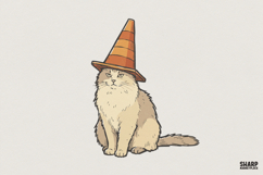 Cat With Traffic Cone Hat PNG, Funny Cat Digital Download, Product Image 1