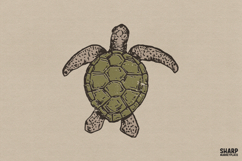 Vintage Sea Turtle Illustration, Coastal Wildlife Graphic, Product Image 1