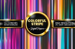 Colorful Stripe Digital Papers - 04 Variations Product Image 1