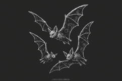 Vintage Bats PNG Clipart for Gothic Halloween Decor, Bat Product Image 1