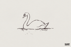 Minimalist Swan PNG Design, Elegant Line Art Bird Graphic, Product Image 1