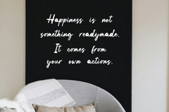 Bold Canvas - Handwritten Script Font Product Image 2