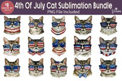 4th Of July Cat Sublimation Bundle Product Image 1