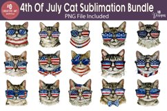 4th Of July Cat Sublimation Bundle Product Image 1