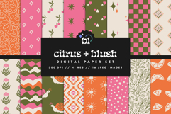 16 Citrus &amp; Blush Seamless Patterns Product Image 1