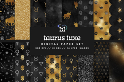 16 Black &amp; Gold Taurus Zodiac Seamless Patterns Product Image 1