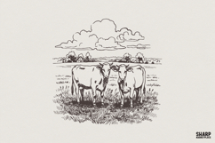 Vintage Farm Cow PNG Design, Country Cattle Sketch Digital Product Image 1
