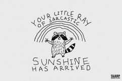 Your Little Ray Of Sarcastic Sunshine Has Arrived Raccoon Product Image 1