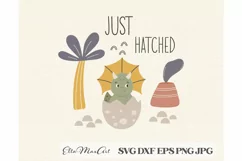 Just hatched SVG, Dinosaur Svg, Baby SVG, Dino Svg, Product Image 1