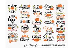 Fall SVG Bundle, Fall Pumpkin SVG Bundle, Autumn SVG Product Image 2