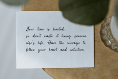 Bold Canvas - Handwritten Script Font Product Image 3
