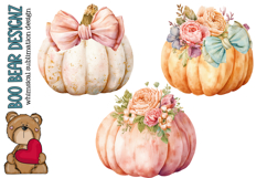 Boho Pumpkin Clipart Product Image 1