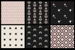 16 Blush &amp; Coal Seamless Patterns Product Image 3