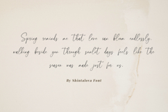 Shintalova - Elegant Script Font Product Image 4