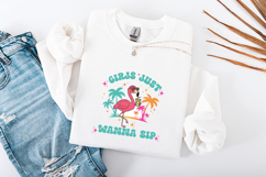 Retro Flamingo Girls Just Wanna Sip Summer SVG Sublimation Product Image 3