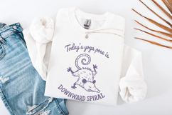 Today&#039;s Yoga Pose Is Downward Spiral PNG, Funny Possum Yoga Product Image 2