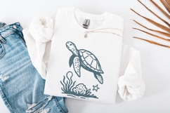 Sea Turtle PNG Clipart, Ocean Animal Illustration, Marine Product Image 3