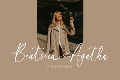 Shintalova - Elegant Script Font Product Image 5