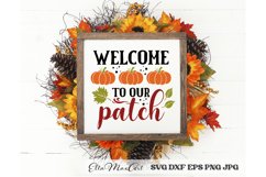 Fall SVG Bundle, Fall Pumpkin SVG Bundle, Autumn SVG Product Image 10