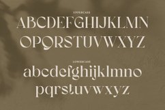 Koolegant Elegant Serif Product Image 7