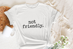 Not Friendly PNG, Digital Download, Typography Shirt, Product Image 3