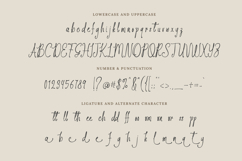 Wildflower Notes - Whimsical Font Product Image 8
