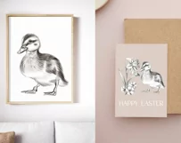 Cute Duckling, Narcissus Flower and Ladybug PNG, 300 DPI Product Image 2