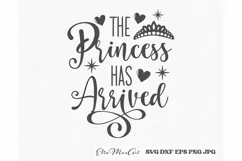 The princess has arrived SVG, Baby SVG, Newborn svg, Baby Product Image 2