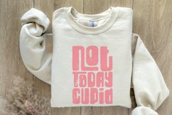 Not Today Cupid Png, Funny Valentine png, Groovy Valentines Product Image 8