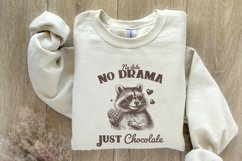 No Date Just Chocolate PNG, Raccoon Valentine Sublimation, Product Image 8