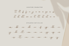 Shintalova - Elegant Script Font Product Image 9