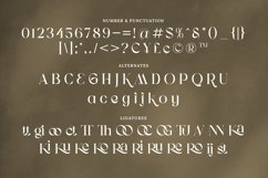 Koolegant Elegant Serif Product Image 8