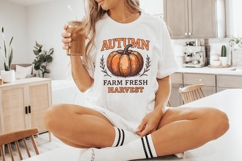 Autumn Farm Fresh Harvest PNG, Pumpkin Digital Download, Product Image 6