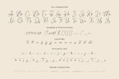 Majestica Royale - Luxury Script Font Product Image 8