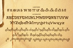 Vorgane Vintage Typeface Product Image 9