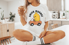 Easter Chick PNG,Retro Easter png, Baby Chick,Spring Product Image 4