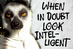 Pack Roslan Display Font Product Image 2