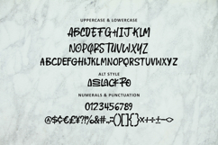 Pack Roslan Display Font Product Image 5