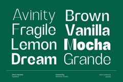 Alerio Variable Font Product Image 10