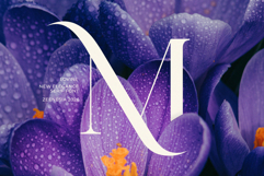 Lovine Product Image 11