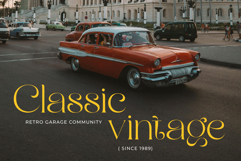 Bright Glitten Product Image 14