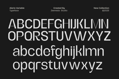 Alerio Variable Font Product Image 13
