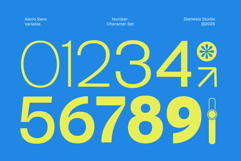 Alerio Variable Font Product Image 14